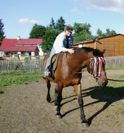 Rekowo-Nauka jazdy konno