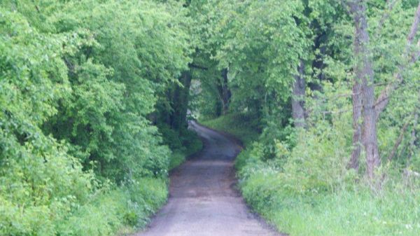 Lipowa aleja. Iłowiec - maj 2010