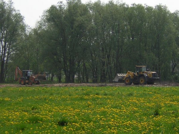 zdjecie Sulechów