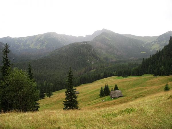 Kalatówki