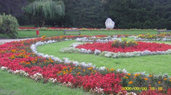 Ciechocinek - rabaty kwiatowe w parku