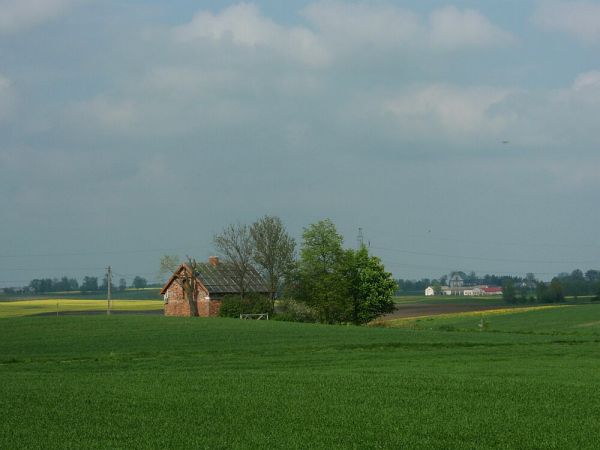 Gołębiewo - widok na okolicę, w tle kościół w Rywałdzie