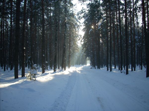 zdjecie Piłatowszczyzna