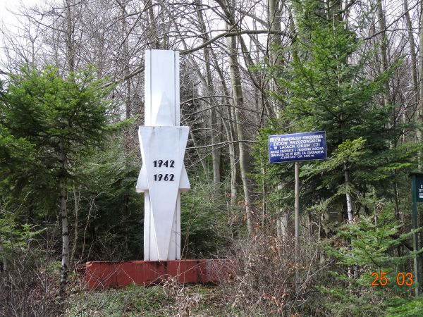 od miasta podążamy Drogą Męczenników Żydowskich, n/z pomnik brzozowskich ofiar Holokaustu : Gwiazda Dawida - w bryle obelisku, w rocznicę zagłady - tak dużej, t