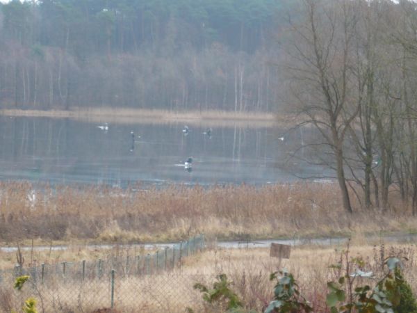 Wędkowanie na lodzie