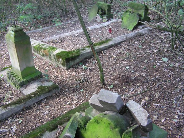 Pozostałości starego poniemieckiego cmentarza we wsi Baranówko
