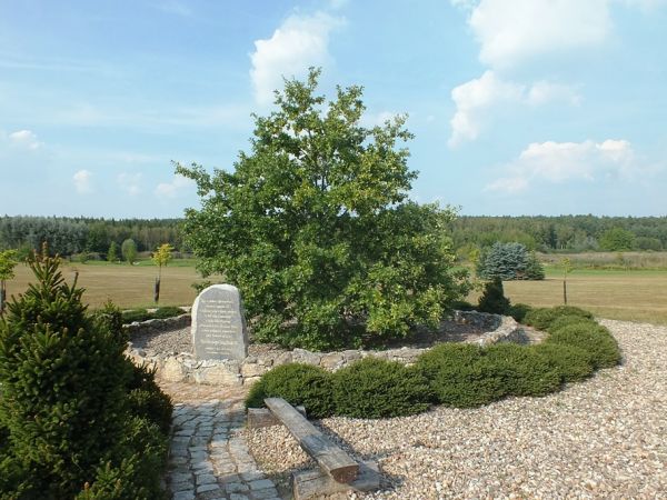 Dąb szypułkowy posadzony w roku 2006 dla uczczenia pontyfikatu Jana Pawła II