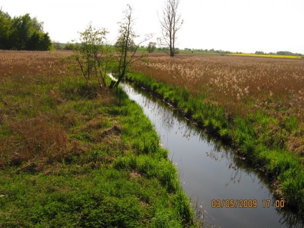 Struga w Szamotułach
