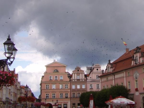 ... ale ptactwo wyraźnie zaniepokojone!
