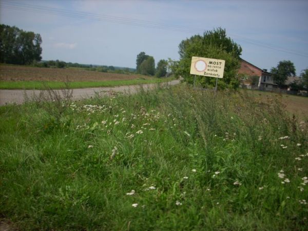 Droga dojazdowa do mostu na rzece Wisłok.(most tylko dla pieszych)