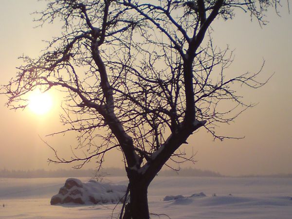 Zimna Wódka zimą...
