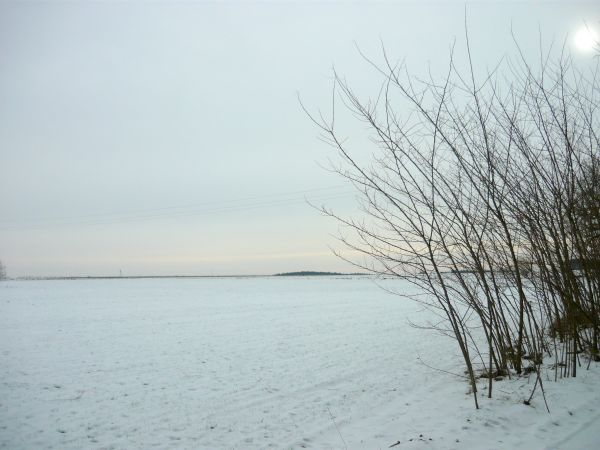 zdjecie Wola Wężykowa