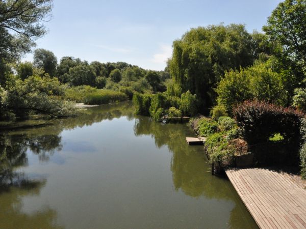 Zbąszyń, rzeka Obra.