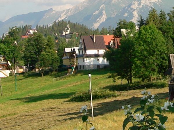 Bukowina Tatrzańska leży na wysokości od 860 do 1000 m n.p.m. (według innych źródeł 850–960 m n.p.m.) i jest położona na Pogórzu Spisko-Gubałowskim; liczy 2700