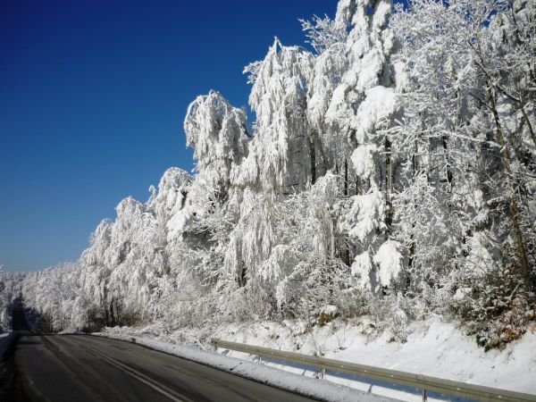 Zimowe krajobrazy z okolic  Arłamowa na Pogórzu Przemyskim.