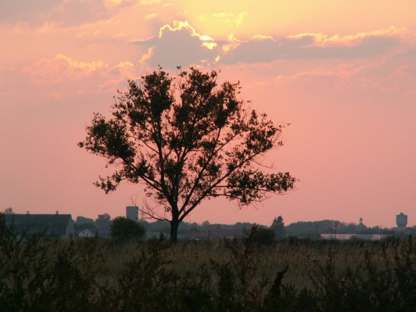 Zachód słońca na Bródzkami