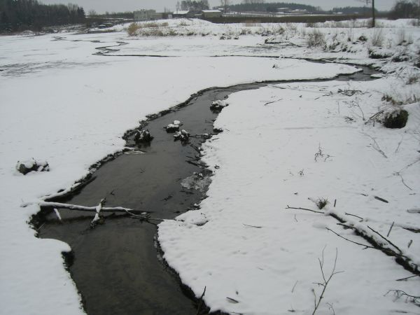 Stawy hodowlane zimą