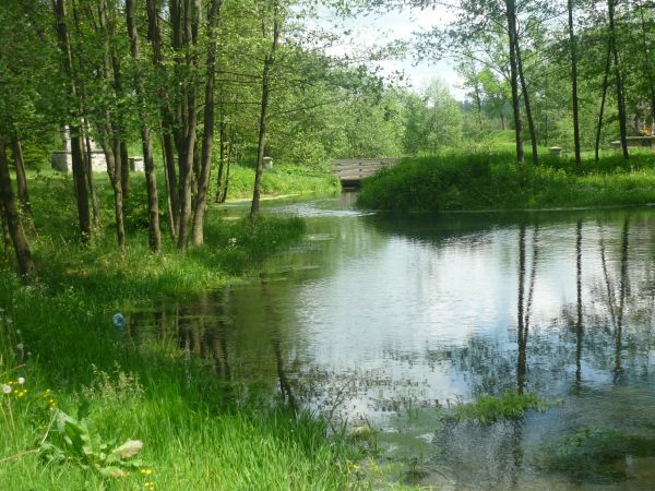 Rozlewisko przy Cudownym Źródle