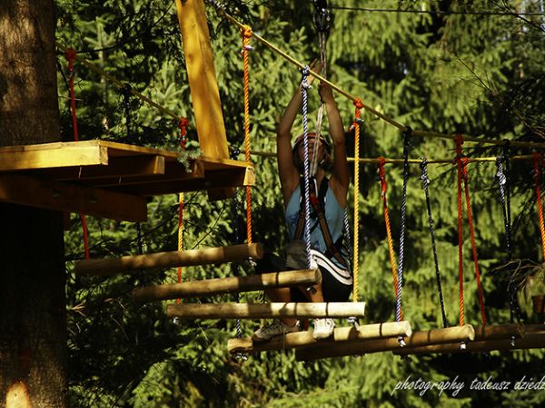 ABlandia Park Linowy na drzewach-Rytro.