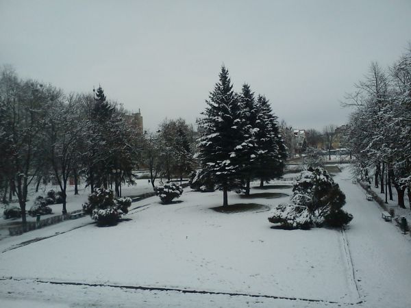 Park miejski w Chełmie
