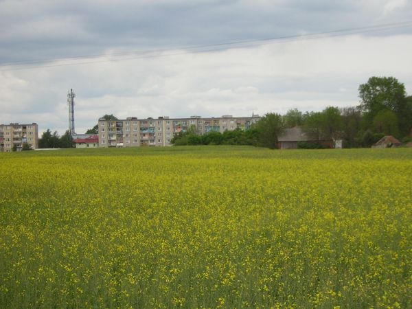 zdjecie Sulechów