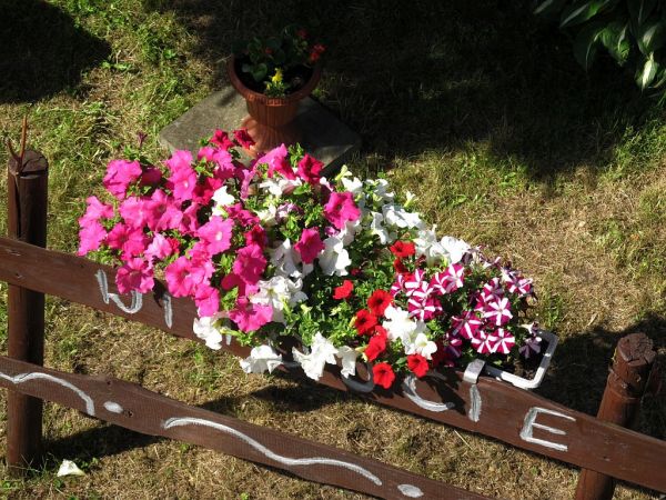 zdjecie Pietrzykowice