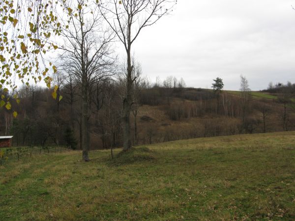 od drogi, n-ko kapliczki, obok siedziby ludzkiej / zagrody /było ich ok. 40, jest 2 -  dwie/ przez potok w dolinie by na zboczu na cmentarz grekokatolicki trafi