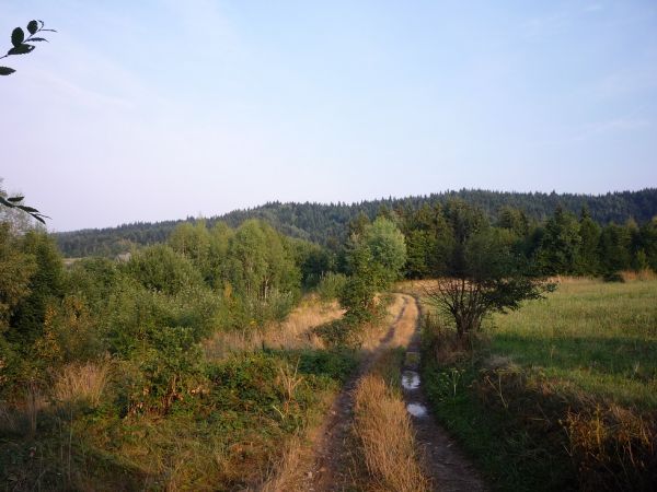 Harbutowice.Droga z Końcówki do Palczy.Czerwony szlak PTTK .