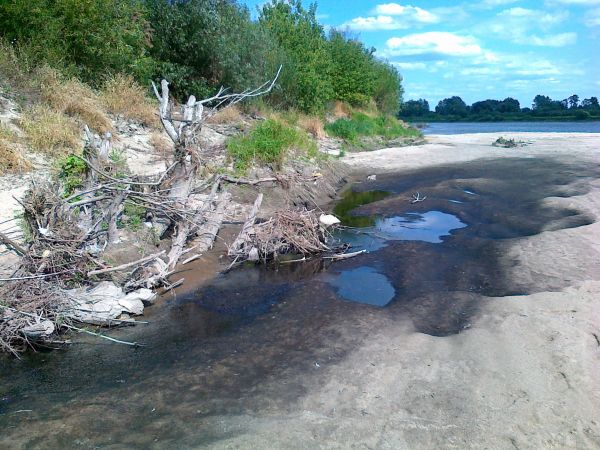 Wisła w pobliżu Brzostkowa -ciekawe formy brzegowe.
