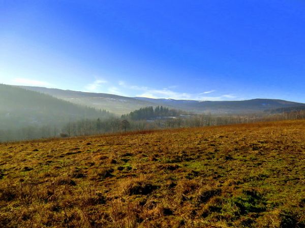 Krajobraz za Małą Kamienicą