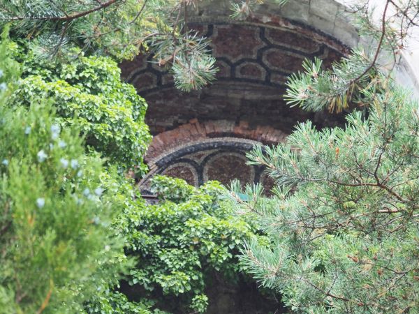 coś o torach, o pociągu, o tunelu - słyszeliśmy, nawet ktoś pazurem tu pogrzebał - pewnie czegoś się spodziewał ale kret go wypłoszył...