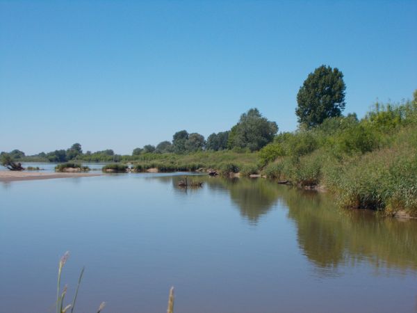 Na wędkarzy czeka nawet ławka, z tego co przyniosła Wisła .  Nie ma zagrożenia terrorystami IS ,to pewne  -:) .