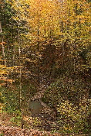 Głęboki Jar-Życzanów