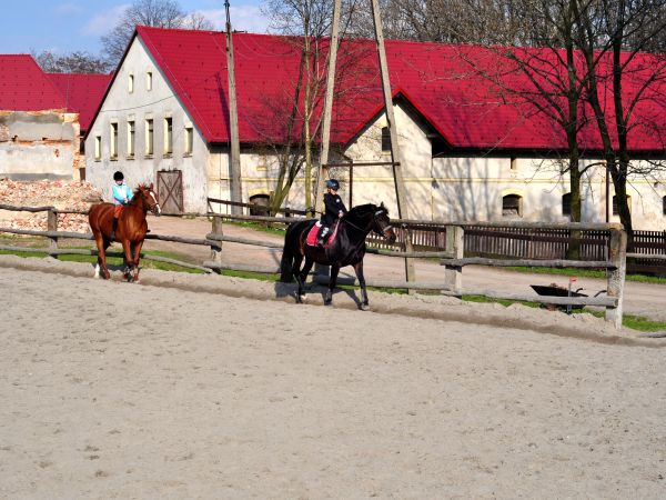 Wodzisław Śl.- Kokoszyce