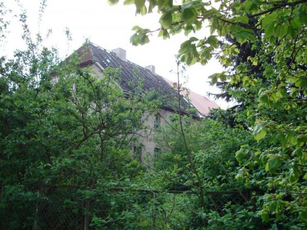 Szkoda takiego pałacu! Prawda?