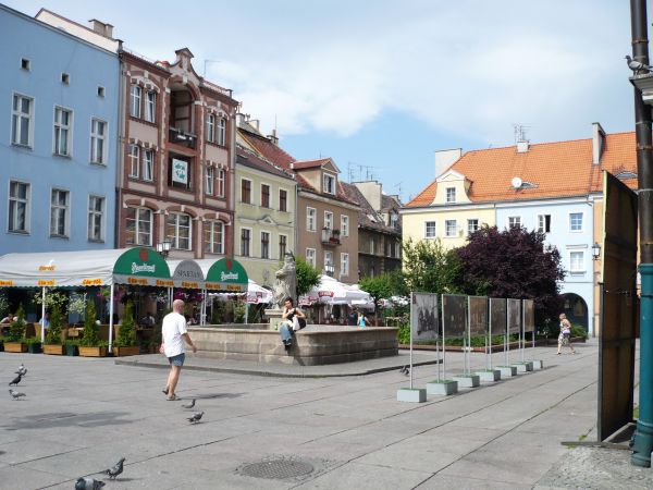 Fontanna z Neptunem na Rynku