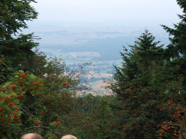 zdjecie Święty Krzyż