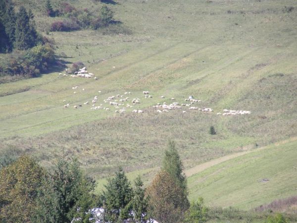 zdjecie Sromowce Niżne