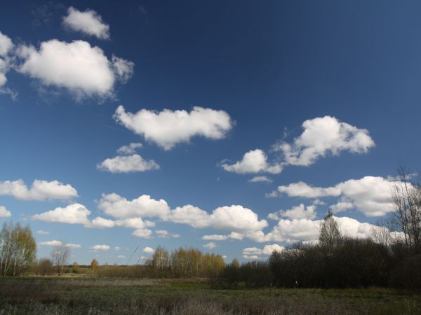 zdjecie Tyniewicze Duże