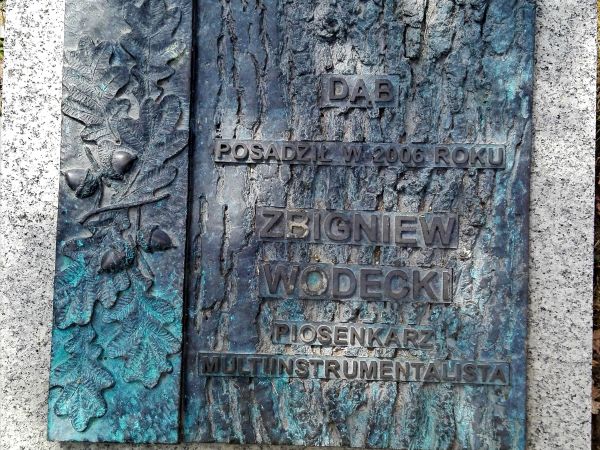 Aleja znajduje się w Parku Zdrojowym.