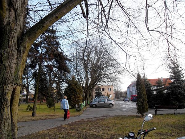 Spacer zimą w parku