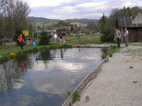 Wspaniała ryba w barze " STAWY "