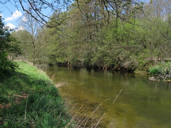 Kanał rzeki Wdy oraz teren nad nim położony