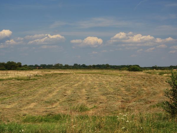 zdjecie Tyniewicze Duże