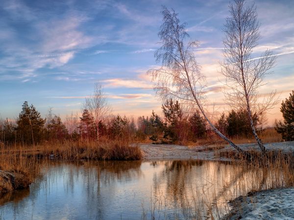 zdjecie Dąbrowa Górnicza