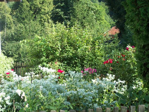 Krzemienna gm. Dydnia