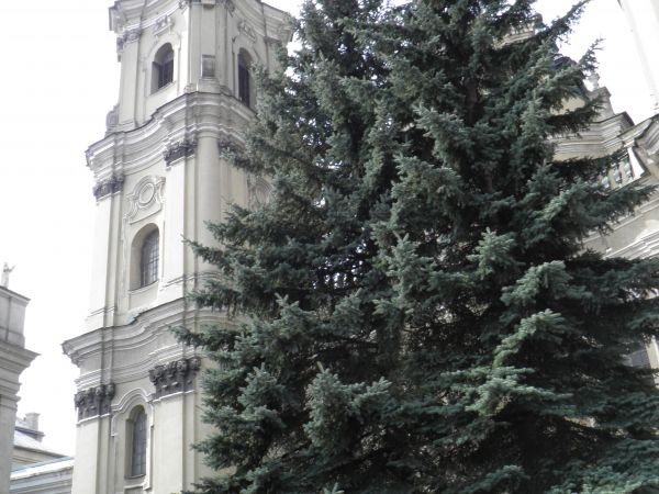 Bazylika NMP i klasztor OO. Dominikanów.