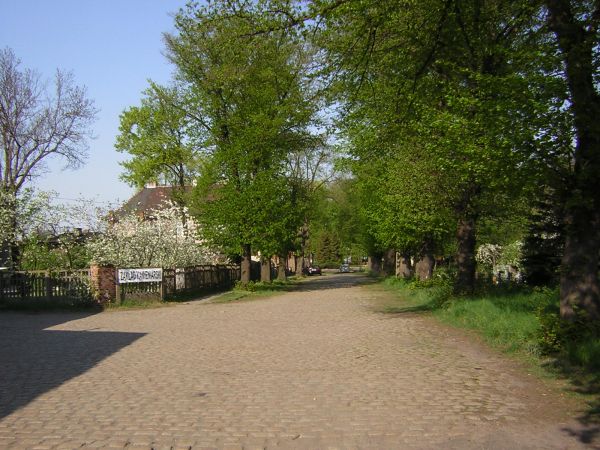 zdjecie Sulechów