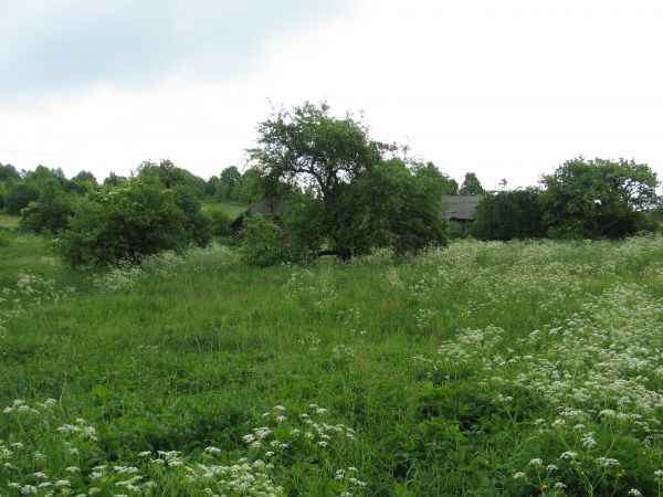 zabudowa gospodarstw - niegdyś przysiółka : Olchowiec.