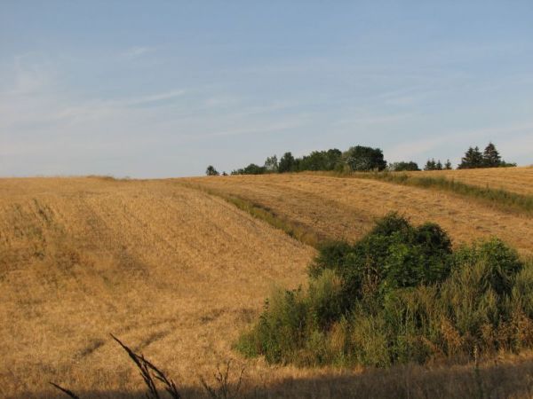 zdjecie Orłów Murowany